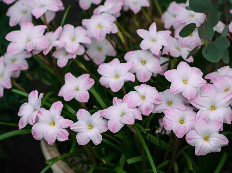  罗马多点开花轻取三分，意甲格局生变  